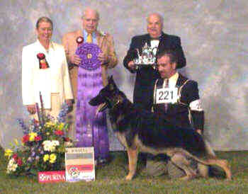 Winners Dog 2002 National